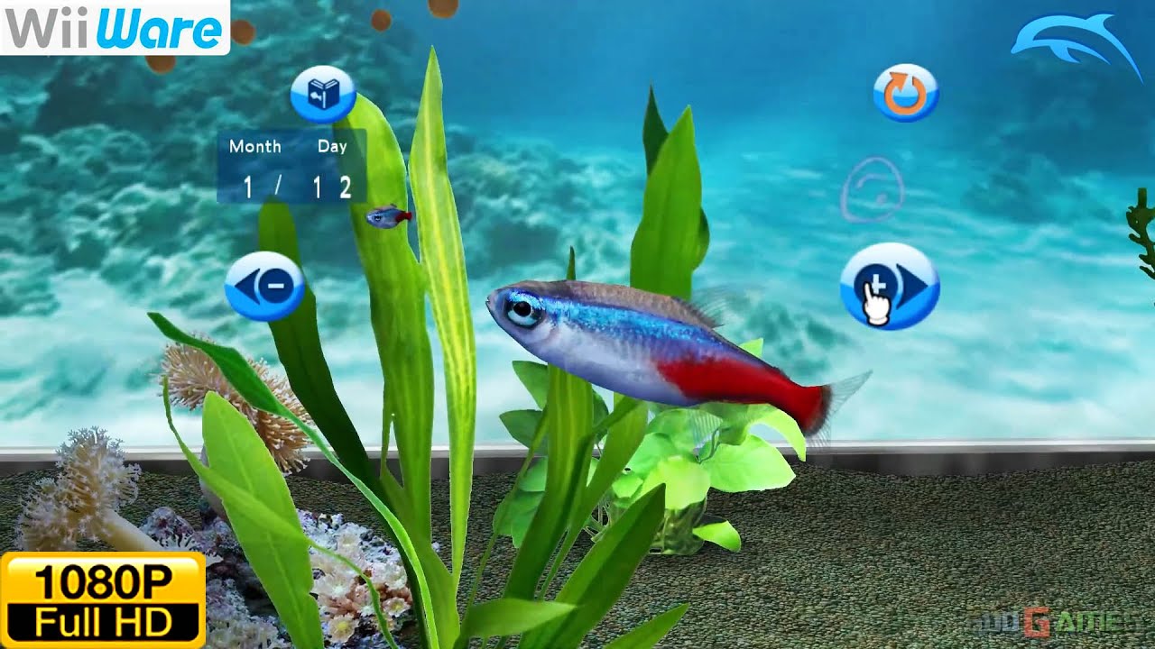 wiiware dolphin